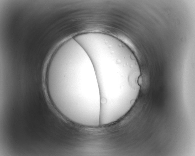 X0000088141088200706042004