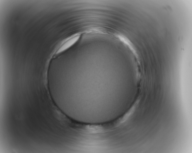 X0000088141089200706042004