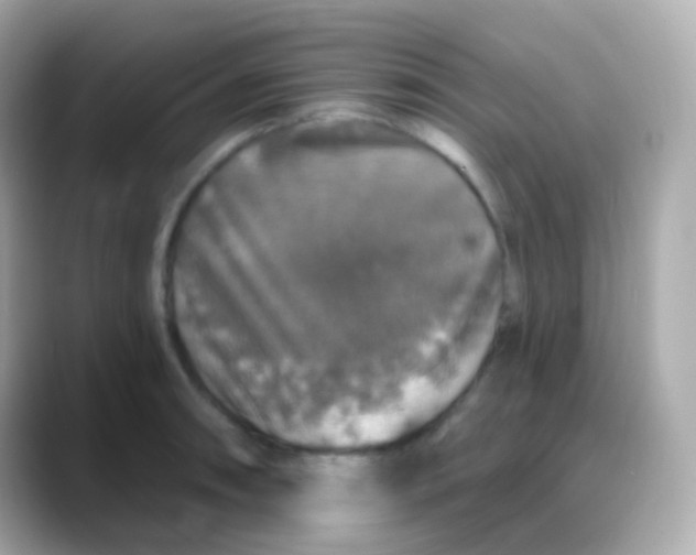 X0000088141090200706042004