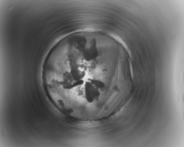 X0000088141091200706042004