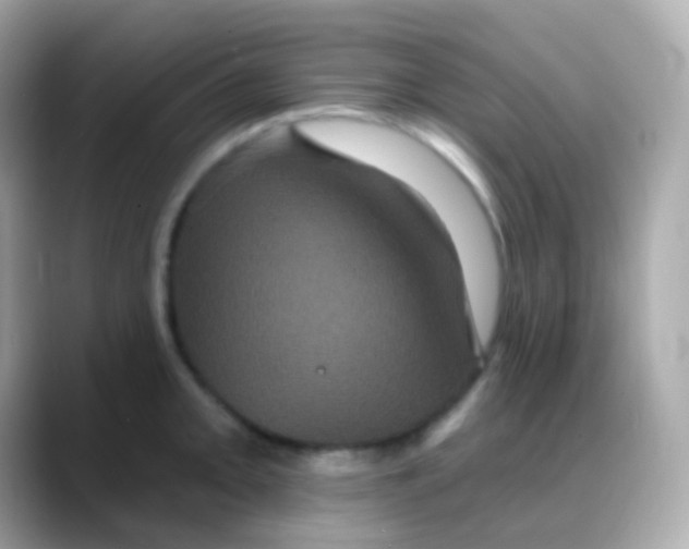 X0000088141093200706042004