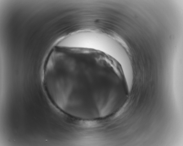 X0000088141095200706042004