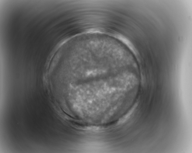 X0000088141097200706042004