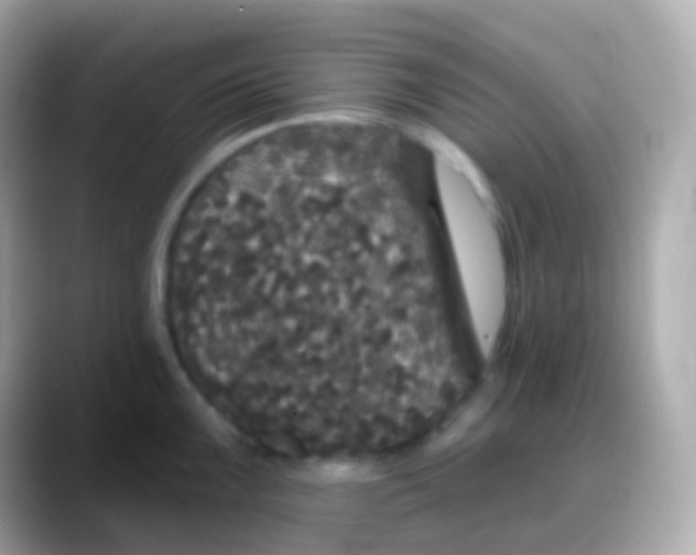 X0000088141099200706042004