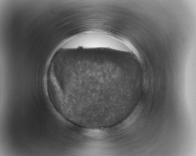 X0000088141100200706042004