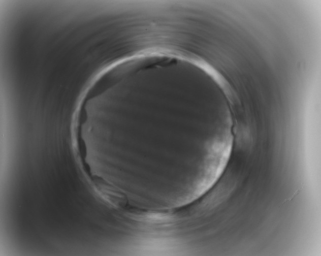 X0000088141102200706042004