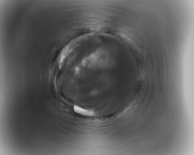 X0000088141106200706042003