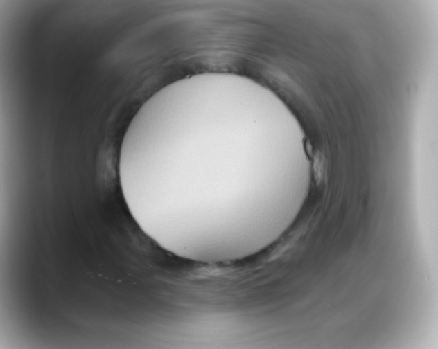 X0000088141107200706042003