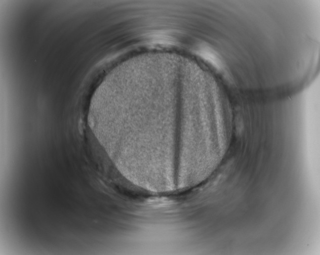 X0000088141112200706042003