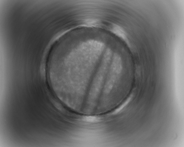 X0000088141114200706042003