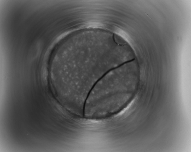 X0000088141115200706042003