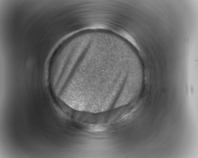 X0000088141116200706042003