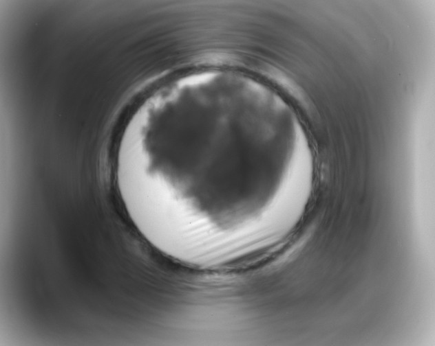 X0000088141117200706042003