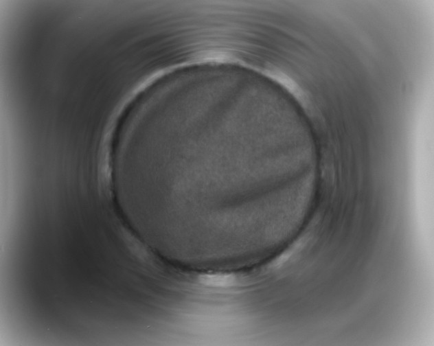 X0000088141118200706042003