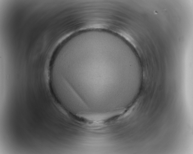 X0000088141119200706042003