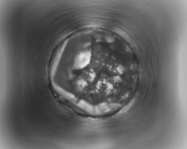 X0000088141121200706042003