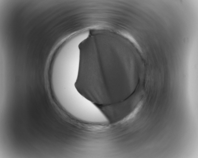 X0000088141122200706042003