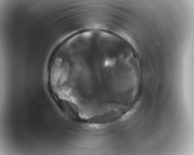 X0000088141125200706042003