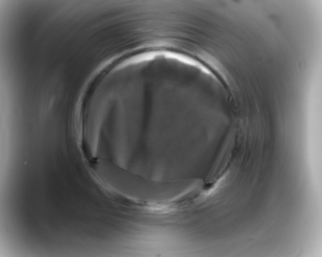 X0000088141127200706042003