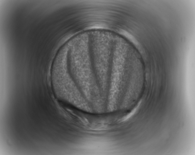 X0000088141129200706042003