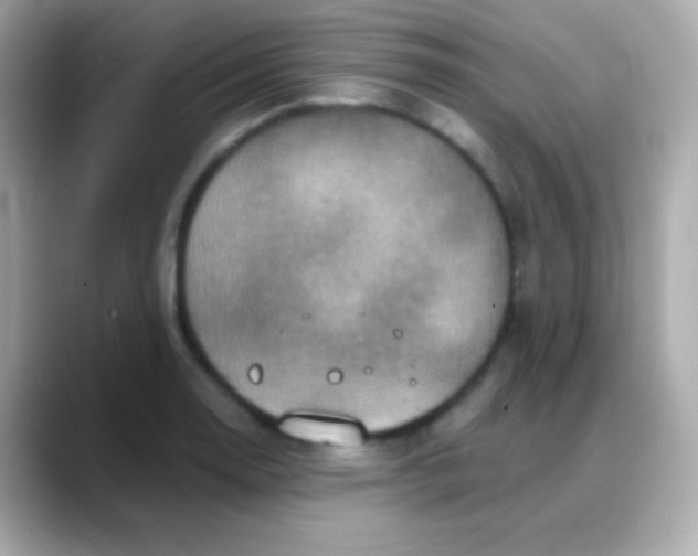 X0000088141130200706042003