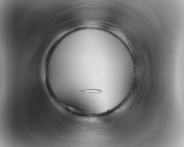 X0000088141131200706042003