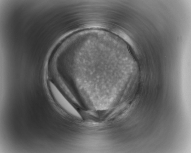 X0000088141132200706042003