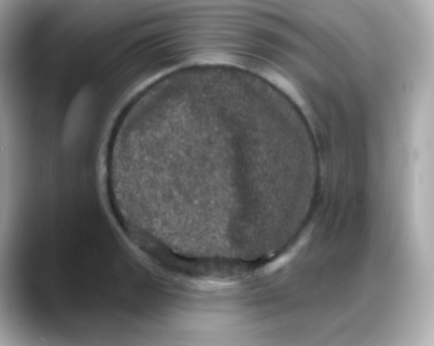 X0000088141133200706042004