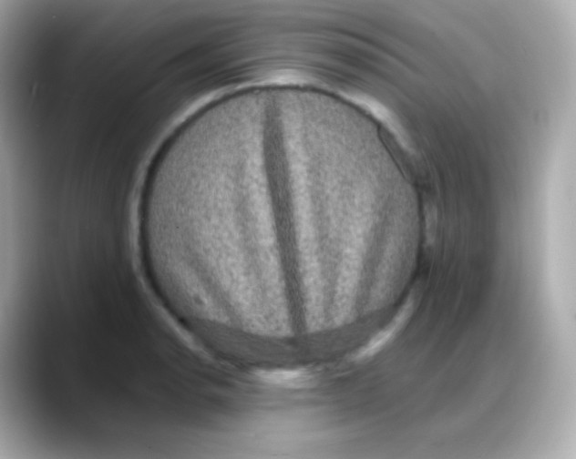 X0000088141134200706042004