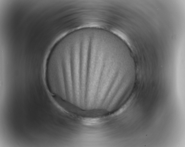 X0000088141135200706042004