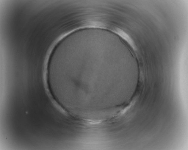 X0000088141136200706042004