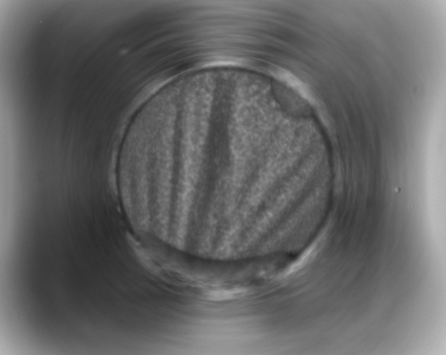 X0000088141137200706042004