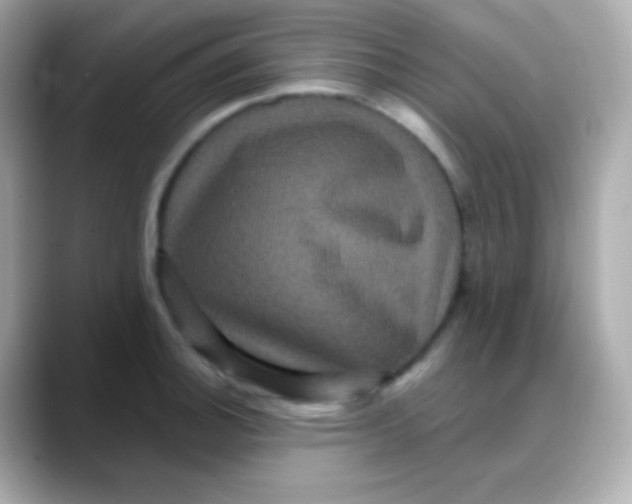 X0000088141140200706042004