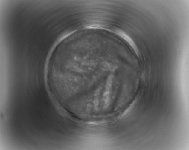 X0000088141146200706042004