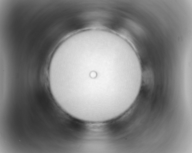 X0000088141150200706042004