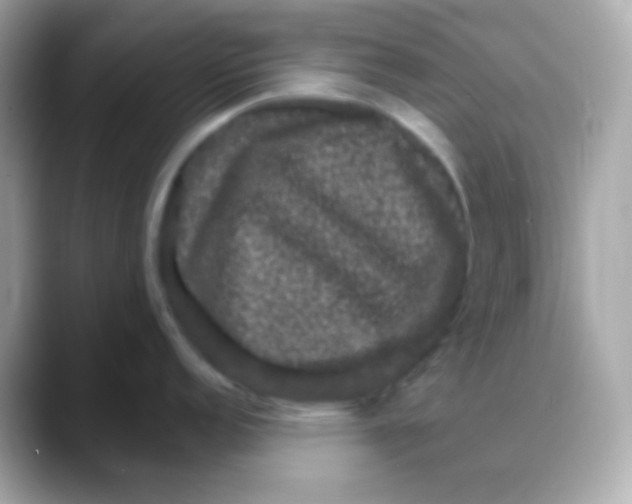 X0000088141152200706042004