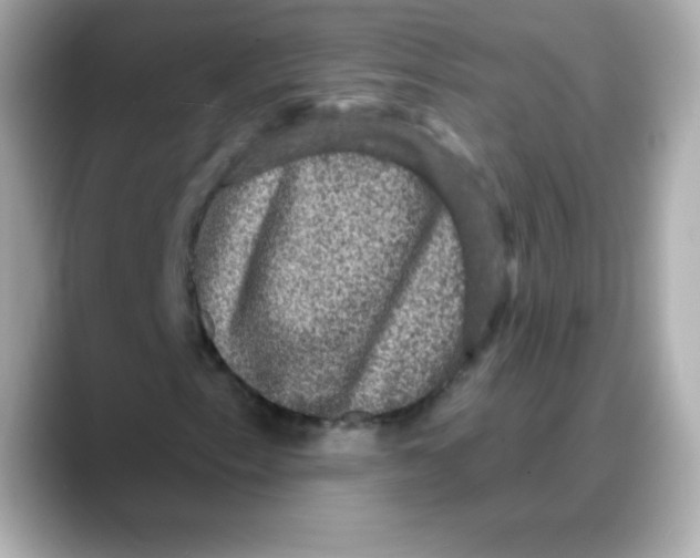 X0000088141153200706042003