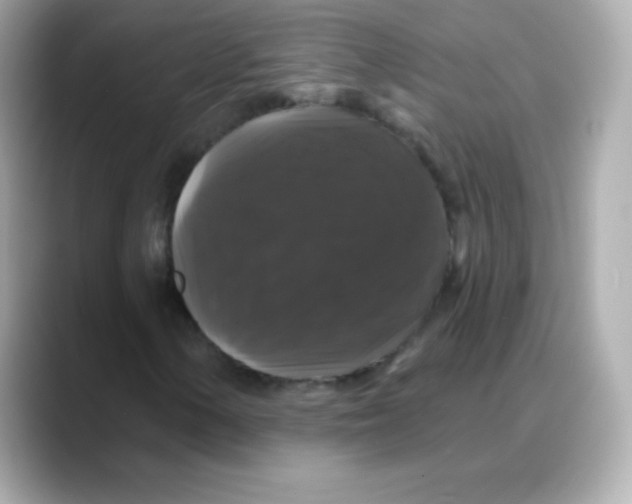 X0000088141154200706042003