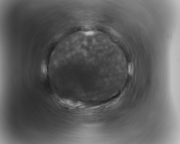 X0000088141155200706042003