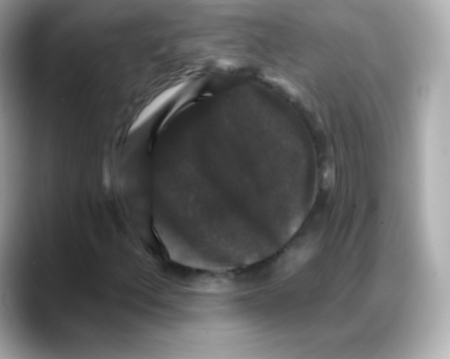 X0000088141156200706042003