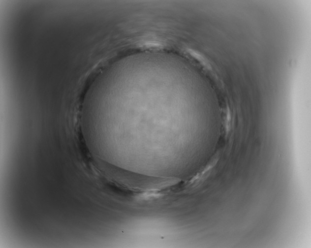 X0000088141157200706042003