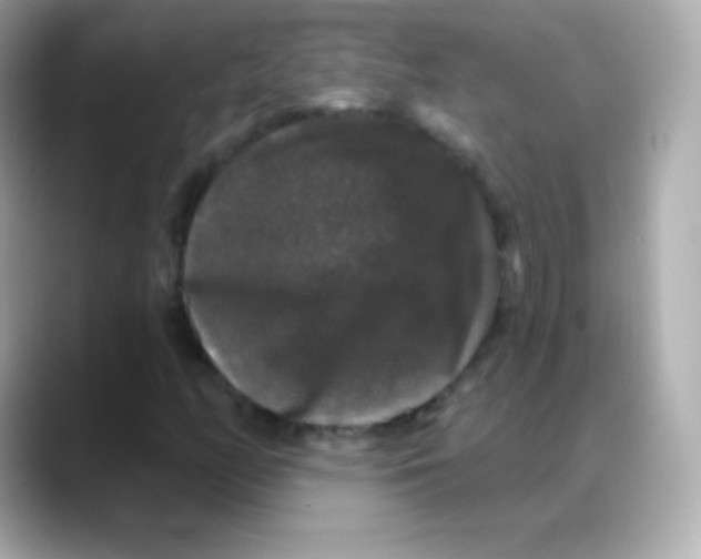 X0000088141158200706042003