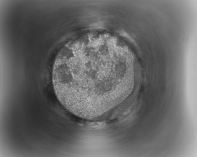 X0000088141159200706042003