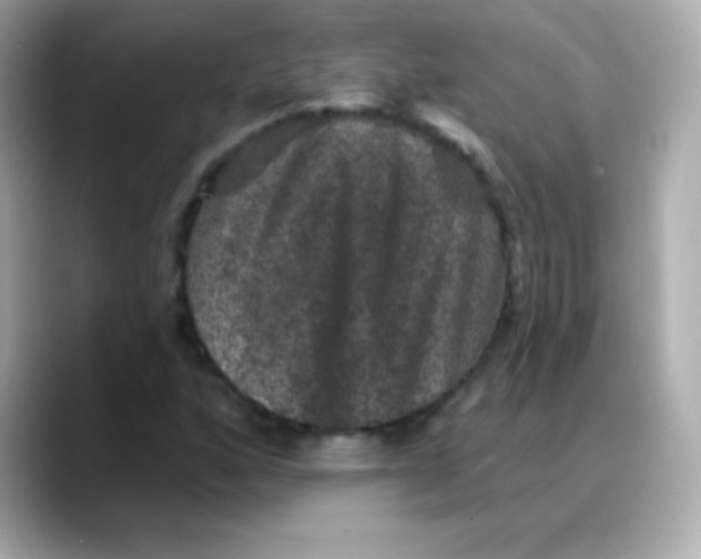 X0000088141160200706042003