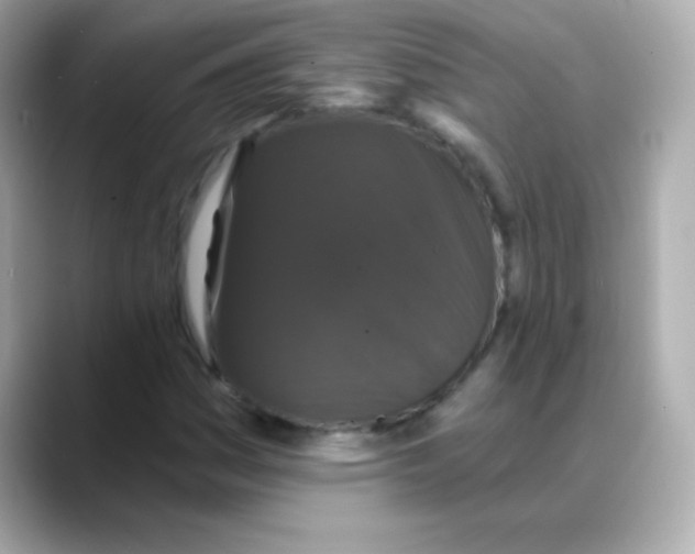 X0000088141161200706042003