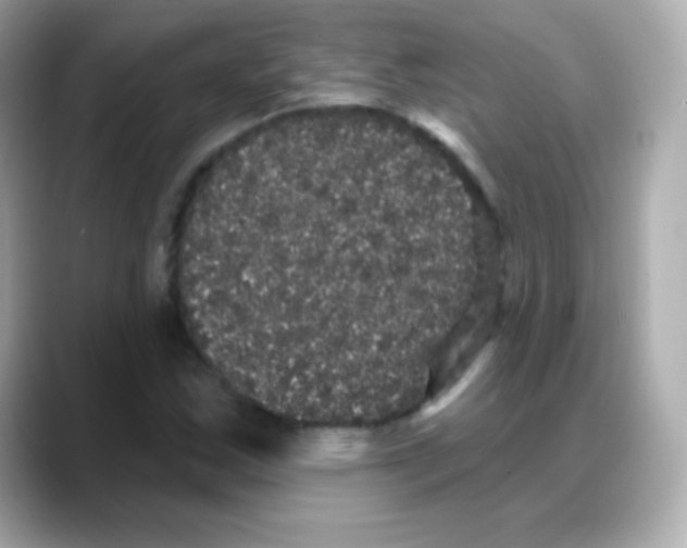 X0000088141163200706042003