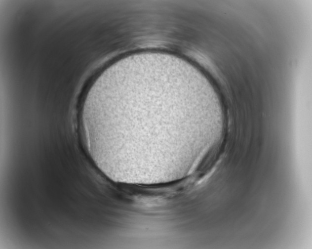 X0000088141164200706042003