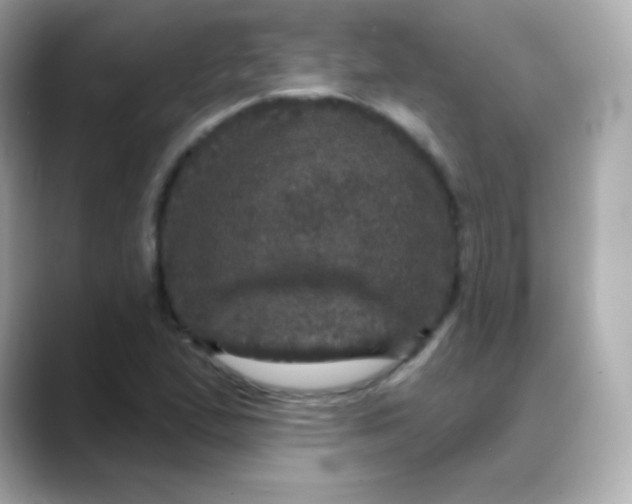 X0000088141167200706042003