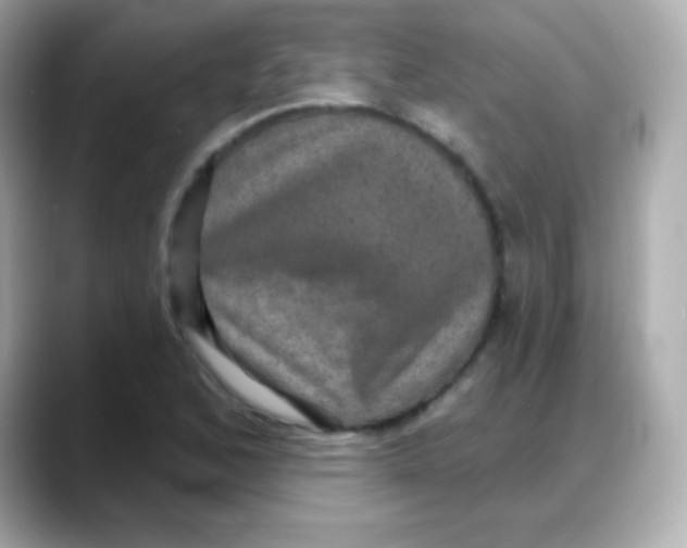 X0000088141168200706042003