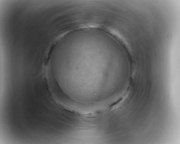 X0000088141169200706042003